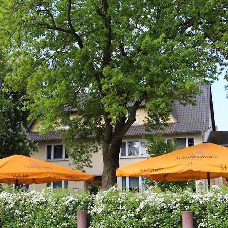 Gasthof Zur Friedenseiche Lohsa Exterior photo
